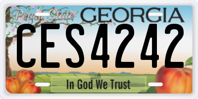 GA license plate CES4242