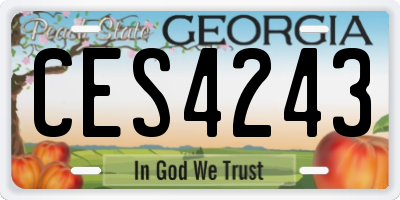 GA license plate CES4243
