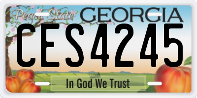 GA license plate CES4245