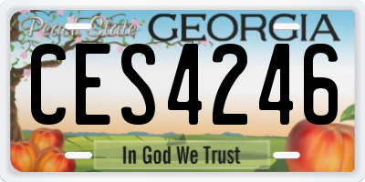 GA license plate CES4246
