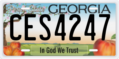 GA license plate CES4247