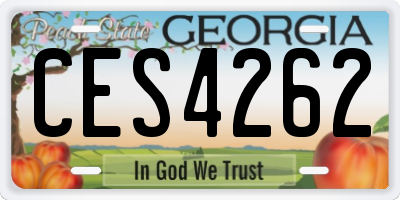 GA license plate CES4262
