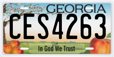 GA license plate CES4263