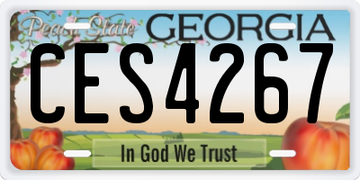 GA license plate CES4267