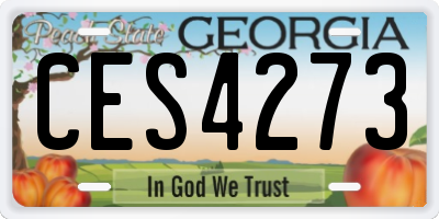 GA license plate CES4273