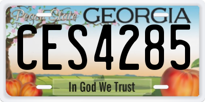 GA license plate CES4285