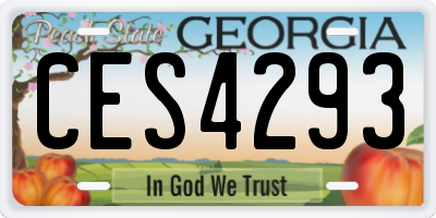 GA license plate CES4293