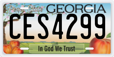 GA license plate CES4299