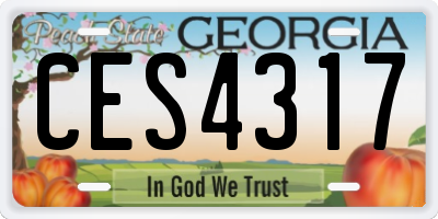 GA license plate CES4317