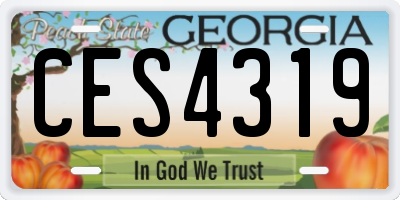 GA license plate CES4319