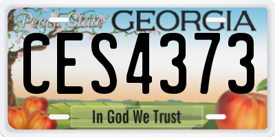 GA license plate CES4373