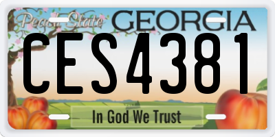 GA license plate CES4381