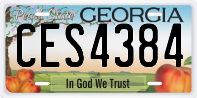 GA license plate CES4384