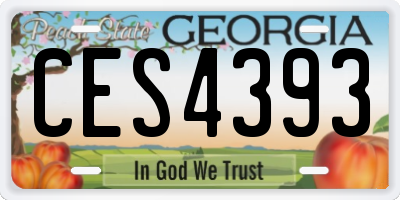 GA license plate CES4393