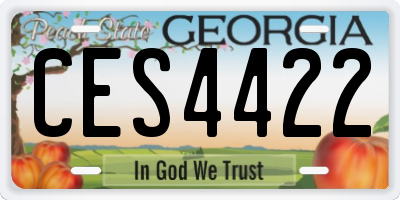 GA license plate CES4422