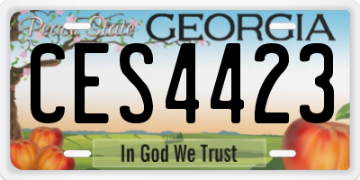 GA license plate CES4423