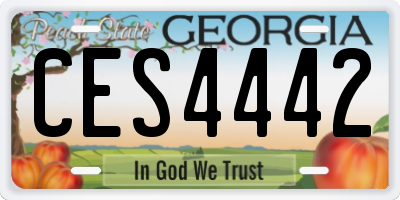 GA license plate CES4442