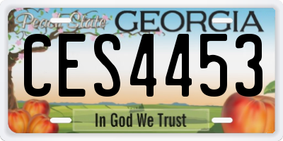 GA license plate CES4453