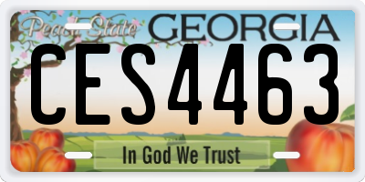 GA license plate CES4463