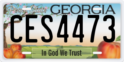 GA license plate CES4473