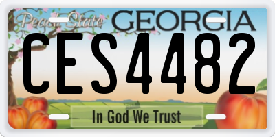 GA license plate CES4482