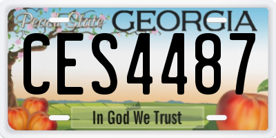 GA license plate CES4487