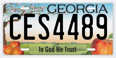 GA license plate CES4489