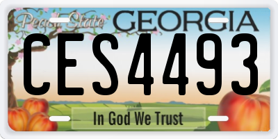GA license plate CES4493