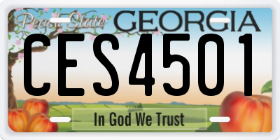 GA license plate CES4501