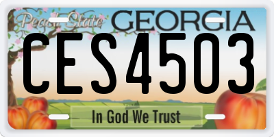 GA license plate CES4503