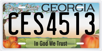 GA license plate CES4513