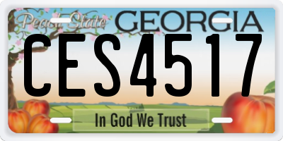 GA license plate CES4517