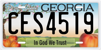 GA license plate CES4519