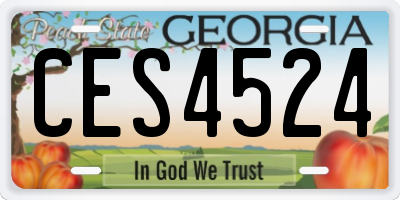 GA license plate CES4524