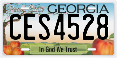 GA license plate CES4528