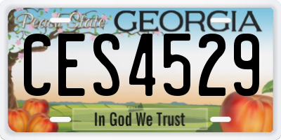 GA license plate CES4529