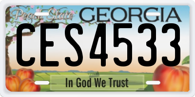 GA license plate CES4533