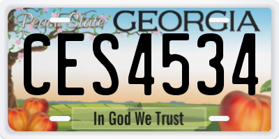GA license plate CES4534