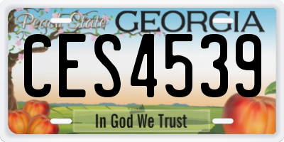 GA license plate CES4539