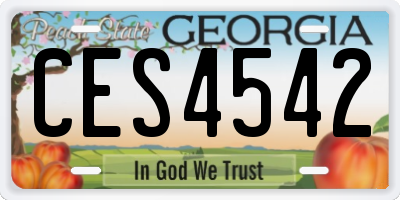 GA license plate CES4542