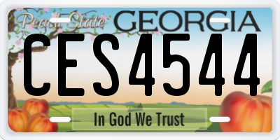 GA license plate CES4544