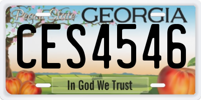 GA license plate CES4546