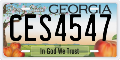 GA license plate CES4547