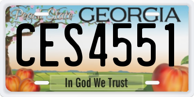 GA license plate CES4551