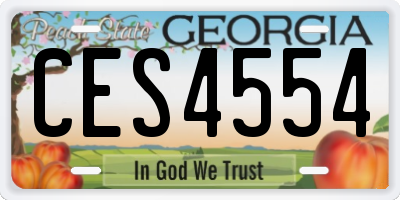 GA license plate CES4554