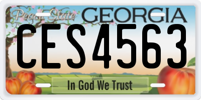 GA license plate CES4563