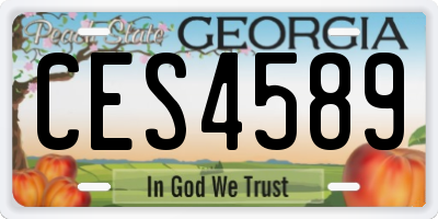 GA license plate CES4589