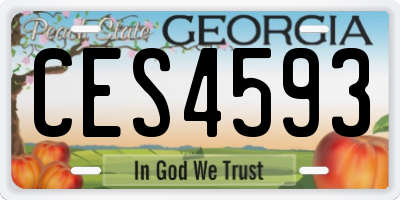 GA license plate CES4593