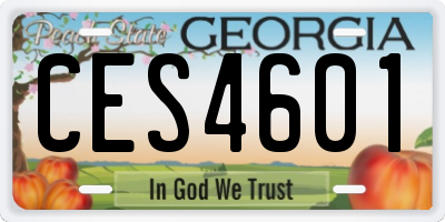 GA license plate CES4601