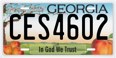 GA license plate CES4602